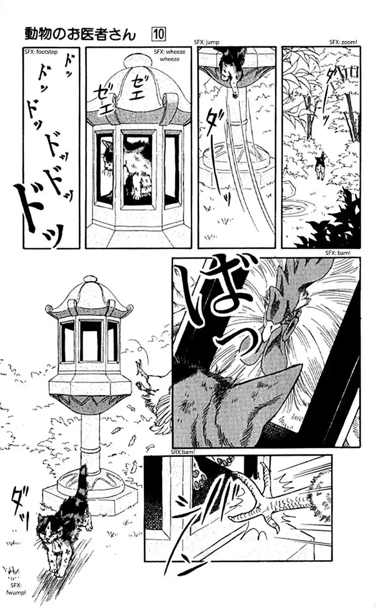 Doubutsu no Oishasan Chapter 92 16